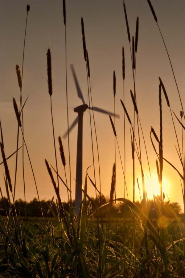Фотовиставка Ніни Ліщук
